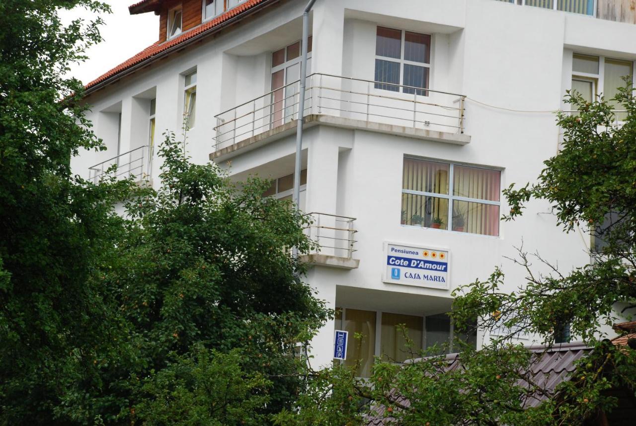 Pension Cote D'Amour Moieciu de Jos Exterior photo