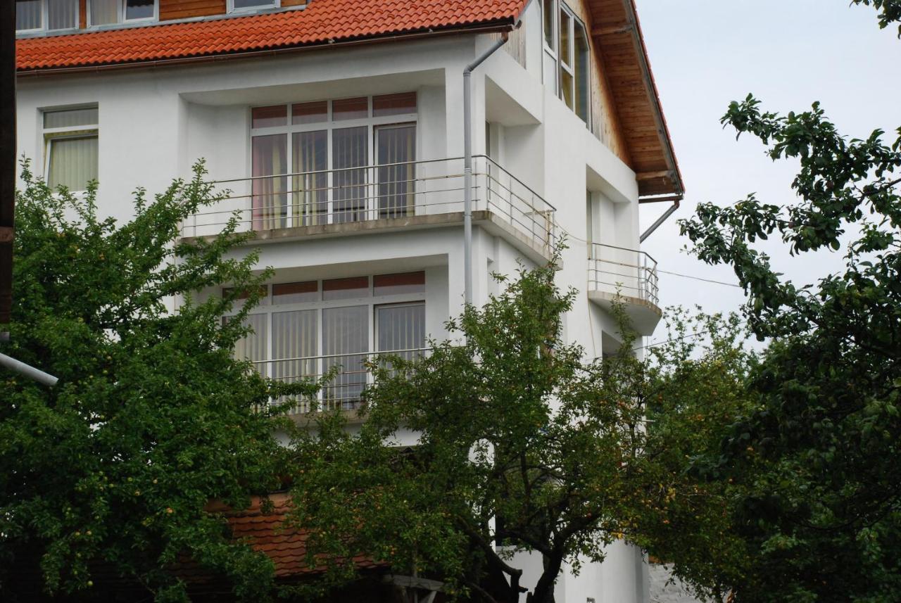 Pension Cote D'Amour Moieciu de Jos Exterior photo