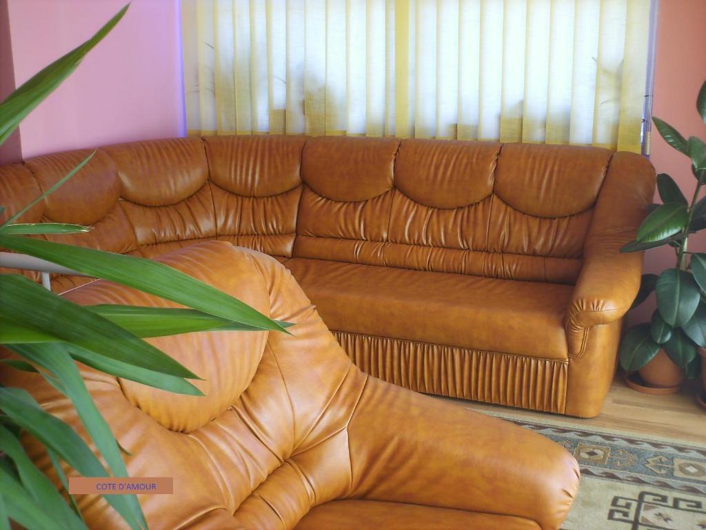 Pension Cote D'Amour Moieciu de Jos Room photo