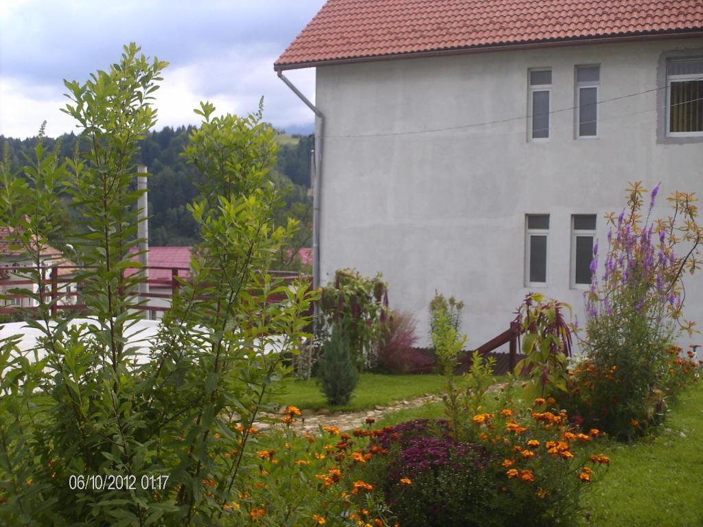 Pension Cote D'Amour Moieciu de Jos Exterior photo